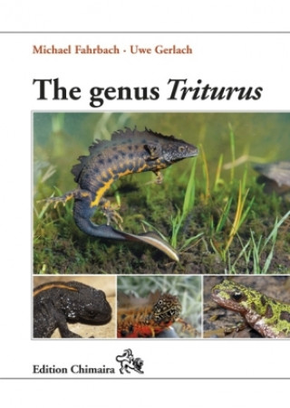 Kniha The genus Triturus Michael Fahrbach