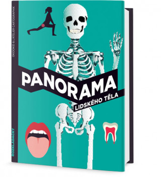 Könyv Panorama lidského těla Robert Winston