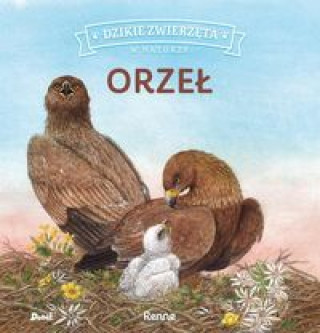 Book Dzikie zwierzęta w naturze Orzeł 