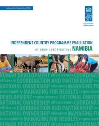 Könyv Assessment of development results - Namibia United Nations Development Programme