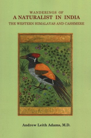 Carte Wanderings of a Naturalist in India, the Western Himalayas and Cashmere Andrew Leith Adams