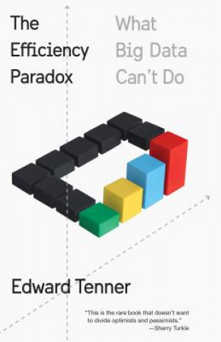Knjiga Efficiency Paradox Edward Tenner