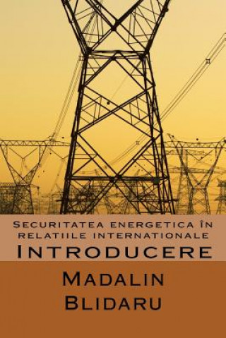 Kniha Securitatea Energetica in Relatiile Internationale: Introducere Madalin Blidaru