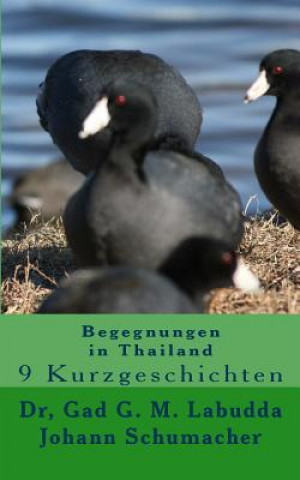 Kniha Begegnungen in Thailand: 9 Kurzgeschichten Johann K a Schumacher