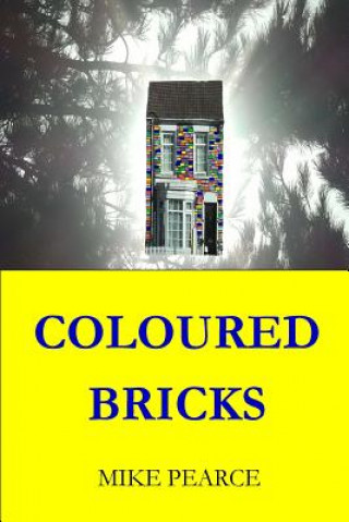 Kniha Coloured Bricks Dr Mike Pearce