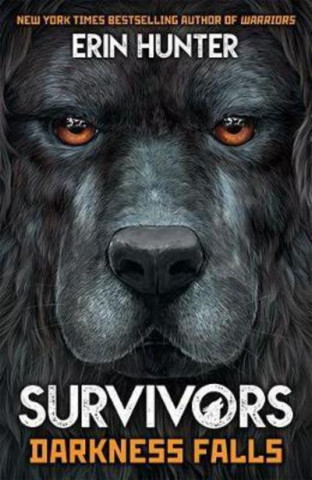 Kniha Survivors Book 3: Darkness Falls Erin Hunter