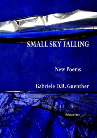 Knjiga Small Sky Falling Gabriele D.R. Guenther