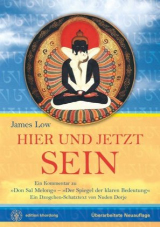 Kniha Hier und Jetzt Sein, m. 1 Audio James Low