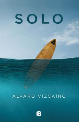 Книга SOLO Alvaro Vizcaino