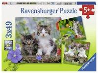 Hra/Hračka Süße Samtpfötchen - Puzzle mit 49 Teilen 