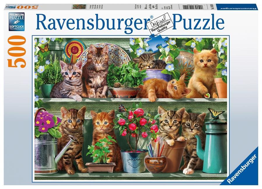 Hra/Hračka Katzen im Regal - Puzzle mit 500 Teilen 