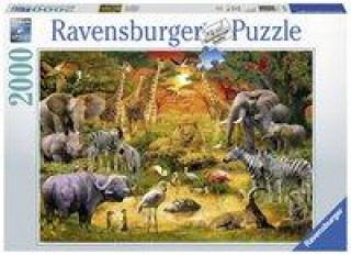 Hra/Hračka Versammlung am Wasserloch - Puzzle mit 2000 Teilen 