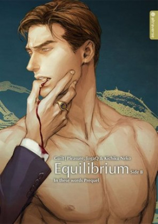 Kniha Equilibrium Light Novel - Side B TogaQ