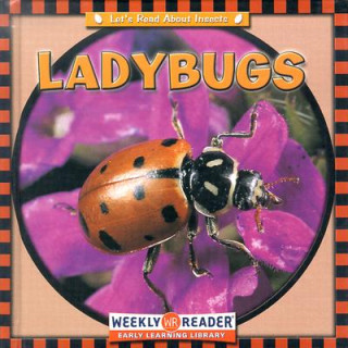Knjiga Ladybugs Susan Ashley