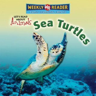 Book Sea Turtles Kathleen Pohl