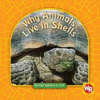 Book Why Animals Live in Shells Valerie J Weber