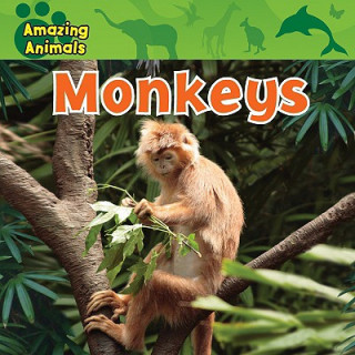 Knjiga Monkeys Christina Wilsdon