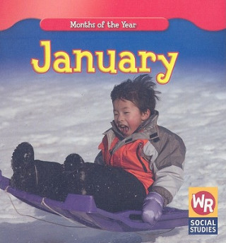 Knjiga January Robyn Brode