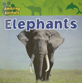 Knjiga Elephants Sarah Albee