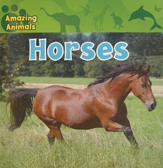 Knjiga Horses Christina Wilsdon
