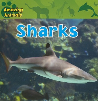 Knjiga Sharks Christina Wilsdon