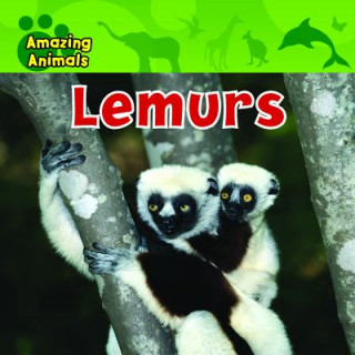 Knjiga Lemurs Karen Baicker