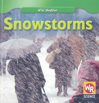 Knjiga Snowstorms Jim Mezzanotte