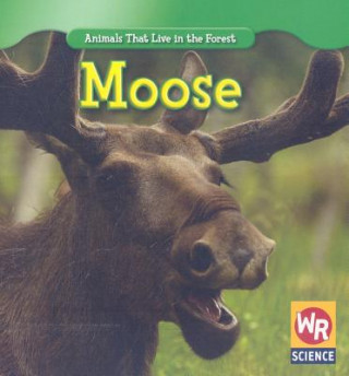 Knjiga Moose JoAnn Early Macken
