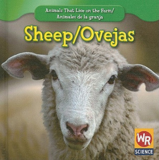 Boek Sheep/Ovejas JoAnn Early Macken