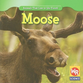 Knjiga Moose JoAnn Early Macken