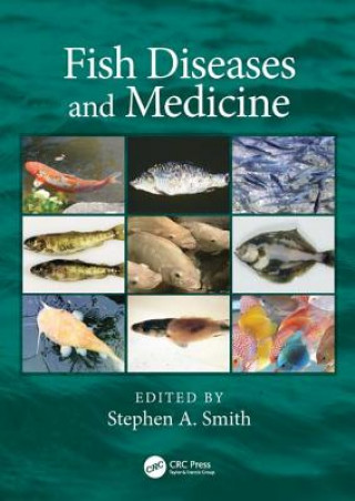 Könyv Fish Diseases and Medicine Stephen A. Smith
