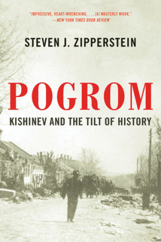 Könyv Pogrom Steven J. Zipperstein