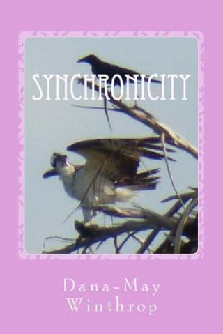 Knjiga Synchronicity Dana-May Winthrop