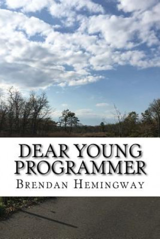 Kniha Dear Young Programmer: Things I Wish You Knew Brendan Hemingway