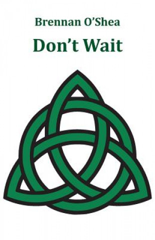Kniha Don't Wait Brennan O'Shea