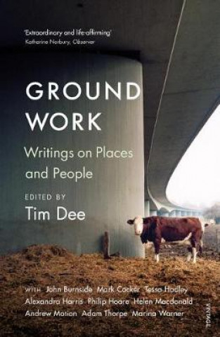 Book Ground Work Tim Dee