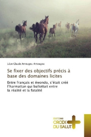 Kniha Se fixer des objectifs précis à base des domaines licites Léon Claude Amougou Amougou