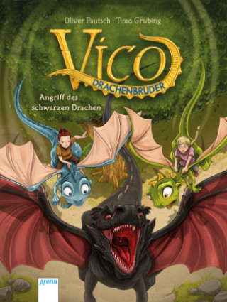 Buch Vico Drachenbruder (2). Angriff des schwarzen Drachen Oliver Pautsch