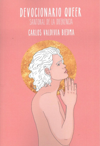 Könyv DEVOCIONARIO QUEER CARLOS VALDIVIA BIEDMA
