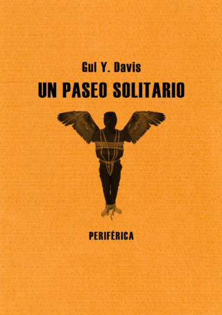 Kniha UN PASEO SOLITARIO GUL Y. DAVIS