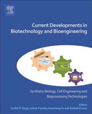 Kniha Current Developments in Biotechnology and Bioengineering Ashok Pandey