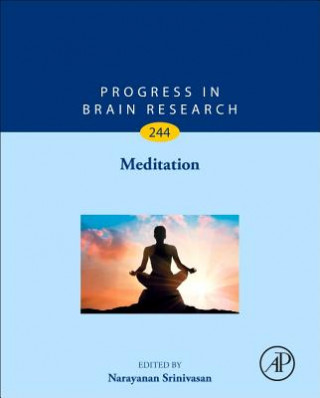 Boek Meditation Narayanan Srinivasan