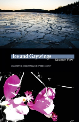 Kniha Ice and Gaywings Kenneth Pobo