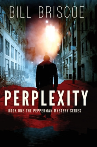 Knjiga Perplexity: Volume 1 Bill Briscoe