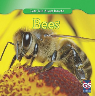 Boek Incredible Bees Susan Ashley