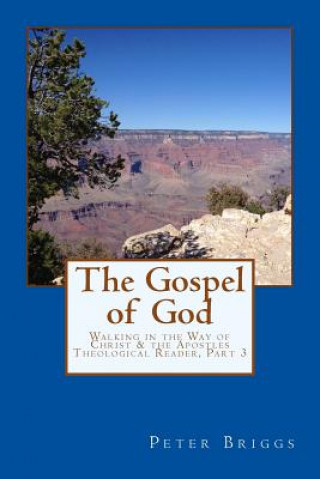 Carte The Gospel of God: Walking in the Way of Christ & the Apostles Theological Reader, Part 3 Peter Briggs