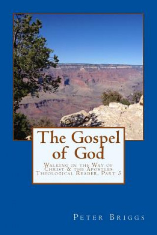 Książka The Gospel of God: Walking in the Way of Christ & the Apostles Theological Reader, Part 3 Peter Briggs