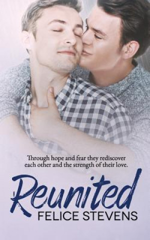 Boek Reunited Felice Stevens