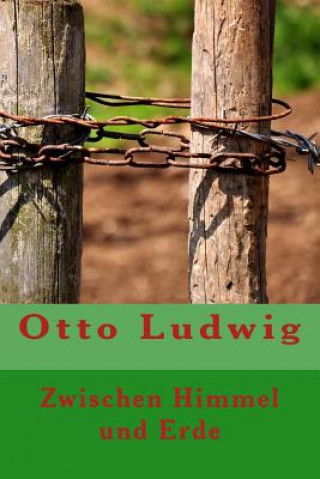 Kniha Zwischen Himmel und Erde Otto Ludwig