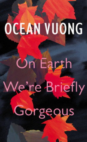 Kniha On Earth We're Briefly Gorgeous Ocean Vuong